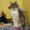 Отзыв от Наталия Быкова
